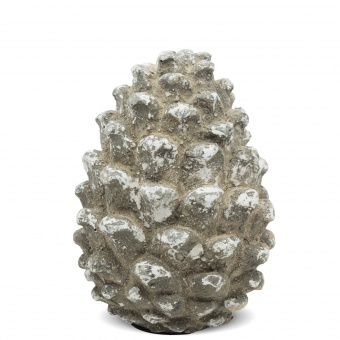 Dekoratyvinė pinecone
