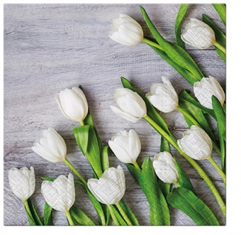 Baltos tulpių servetėlės