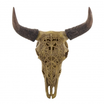„Wall Buffalo Head“ apdaila