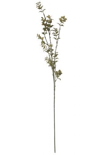 Pl dirbtinė gėlė 63 cm fittonia purškiama x 4